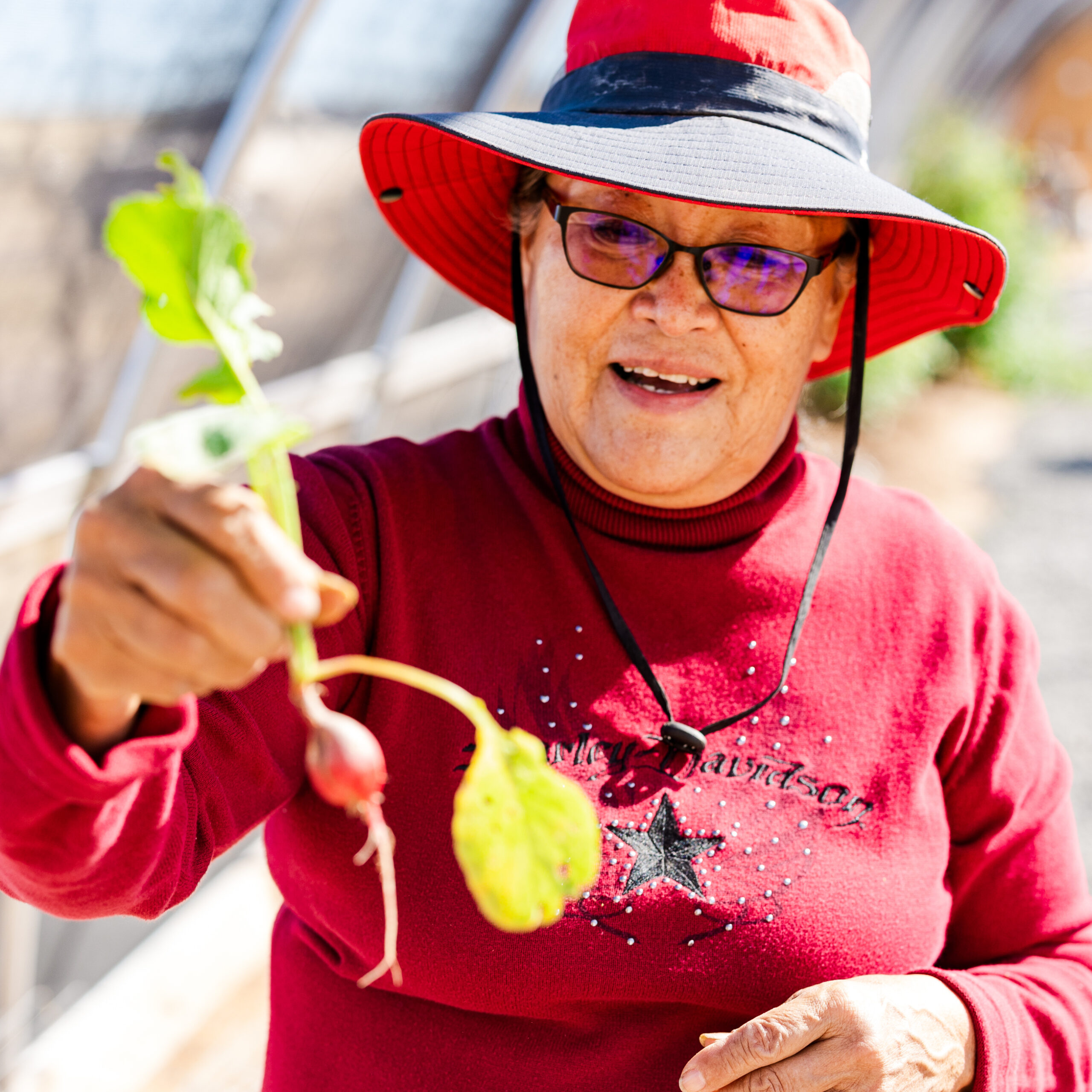 In the Navajo Nation, greenhouses have begun to dot the landscape to combat decades of food insecurity.
