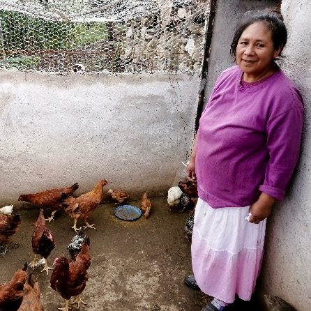 Adriana in Mexico can earn an income by selling surplus eggs from her chicken coop.