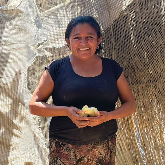 square crops, Peru